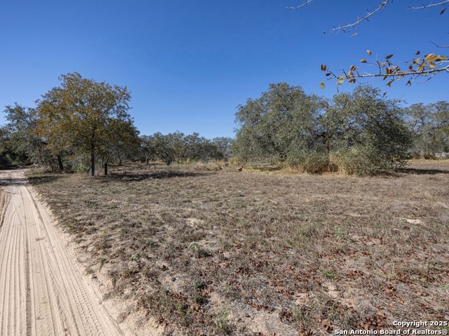 Image 3 of 8 For 444 Enchanted