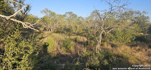 Image 10 of 16 For 109 Sylas Hayes