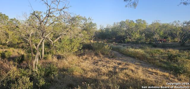 Image 11 of 16 For 109 Sylas Hayes