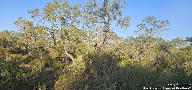 Image 13 of 16 For 109 Sylas Hayes