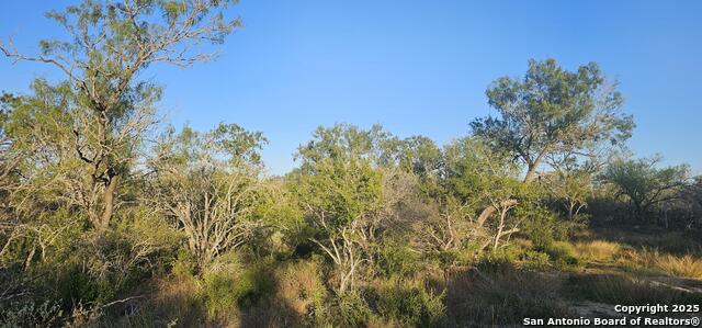 Image 14 of 16 For 109 Sylas Hayes