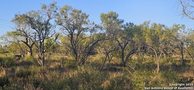 Image 16 of 16 For 109 Sylas Hayes