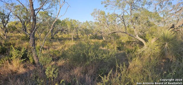 Image 2 of 16 For 109 Sylas Hayes