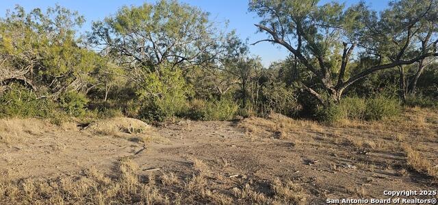 Image 9 of 16 For 109 Sylas Hayes