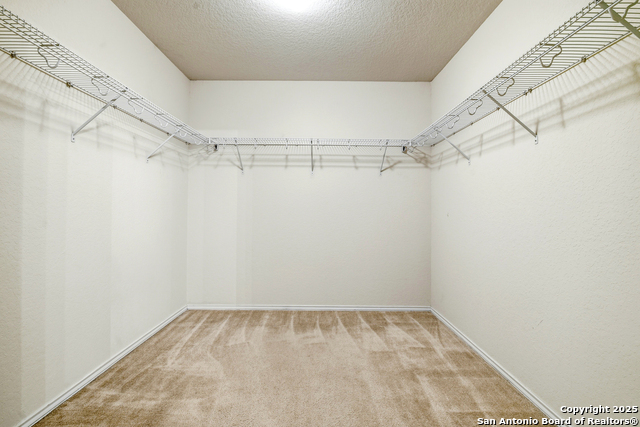 Image 15 of 27 For 2517 Struck Silver