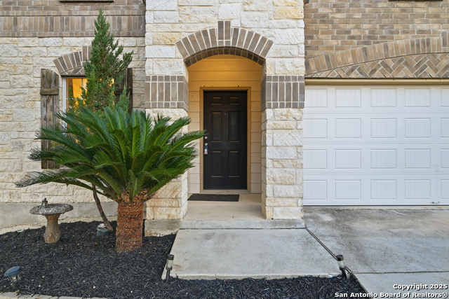 Image 3 of 27 For 2517 Struck Silver