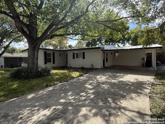 Image 15 of 15 For 2822 Knight Robin