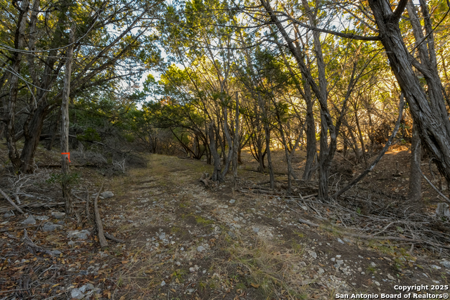Image 11 of 12 For 929 Upper Loma Verde Rd Lt 95a 10