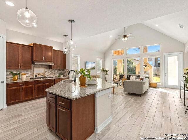 Image 14 of 40 For 28845 Bluebottle