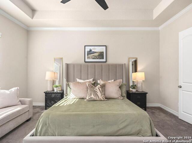 Image 23 of 40 For 28845 Bluebottle