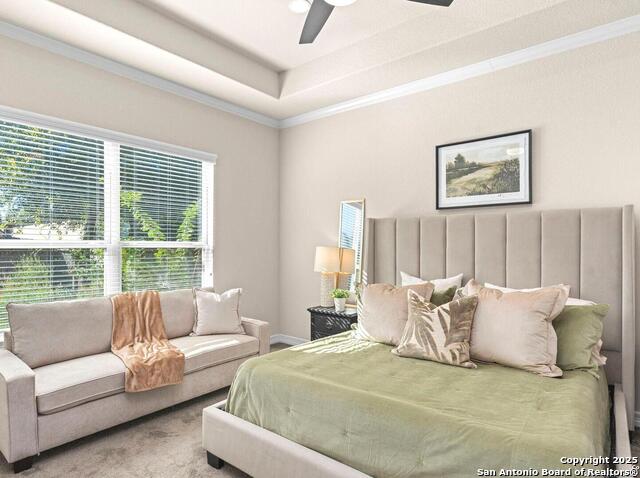 Image 24 of 40 For 28845 Bluebottle