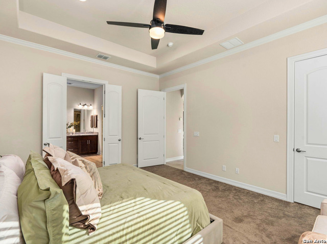 Image 25 of 40 For 28845 Bluebottle