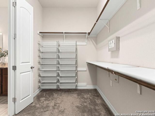 Image 28 of 40 For 28845 Bluebottle