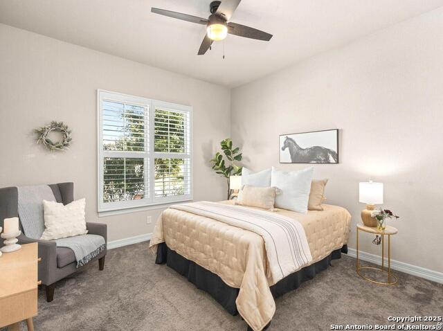 Image 29 of 40 For 28845 Bluebottle