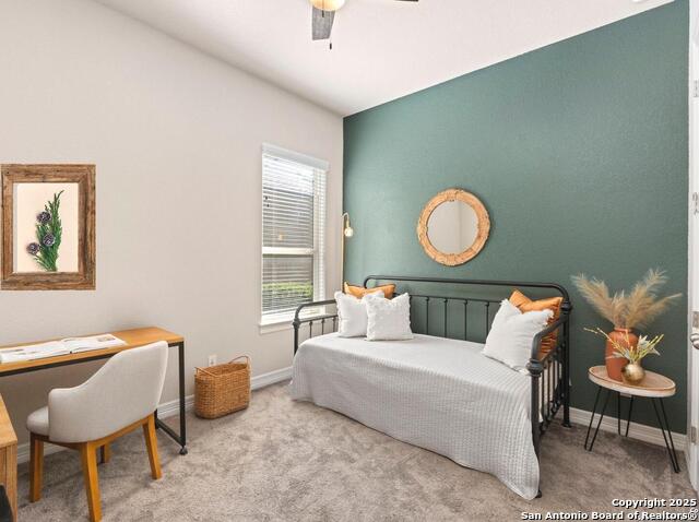 Image 30 of 40 For 28845 Bluebottle