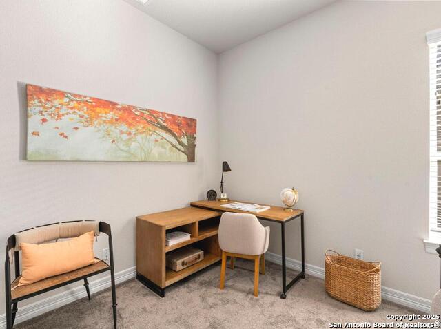 Image 31 of 40 For 28845 Bluebottle