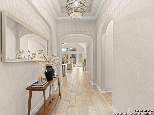 Image 4 of 40 For 28845 Bluebottle