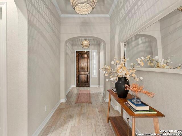 Image 5 of 40 For 28845 Bluebottle