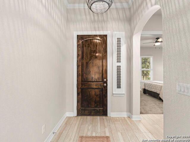 Image 6 of 40 For 28845 Bluebottle