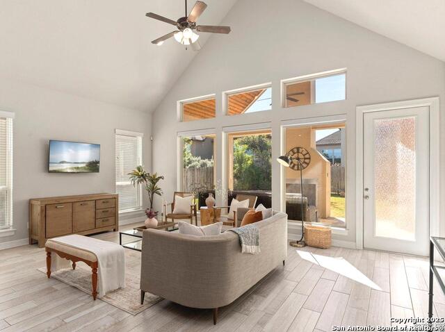 Image 8 of 40 For 28845 Bluebottle