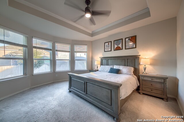 Image 13 of 29 For 27210 Volcano