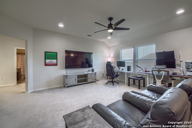 Image 18 of 29 For 27210 Volcano