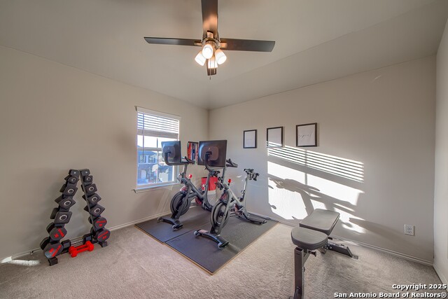 Image 19 of 29 For 27210 Volcano