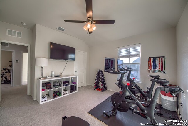 Image 20 of 29 For 27210 Volcano