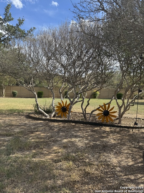 Image 34 of 38 For 8532 Verano