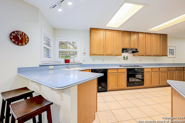 Image 12 of 37 For 2010 Daylight