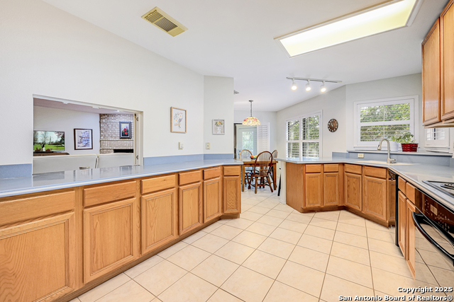 Image 15 of 37 For 2010 Daylight