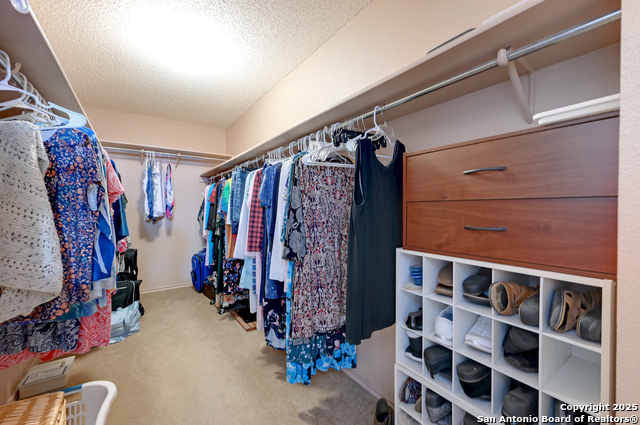 Image 24 of 37 For 2010 Daylight