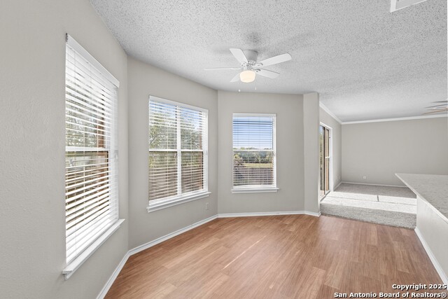 Image 16 of 44 For 9626 Blossom Tree