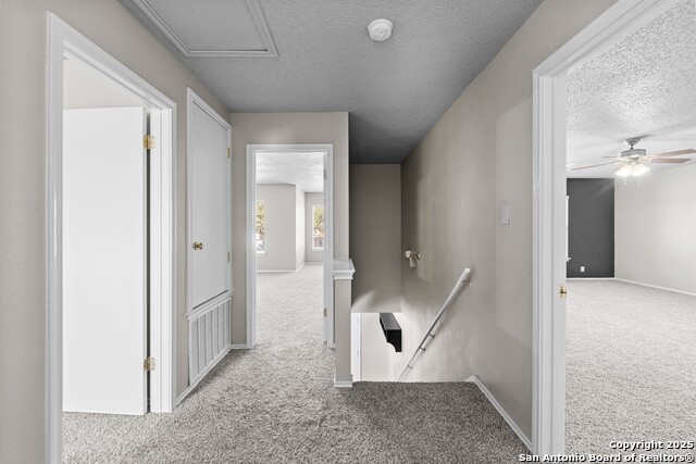 Image 20 of 44 For 9626 Blossom Tree