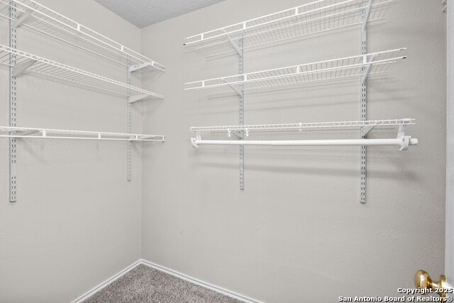 Image 30 of 44 For 9626 Blossom Tree