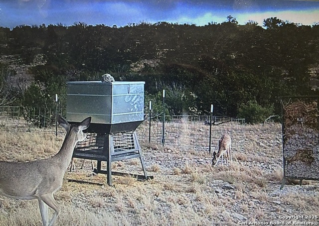 Listing photo id 0 for Tbd High Lonesome Rd