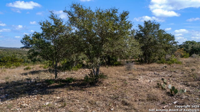 Image 17 of 33 For Phase 6 Lot 11 Canyon Rim
