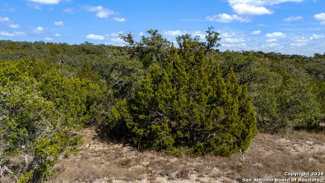 Image 25 of 33 For Phase 6 Lot 11 Canyon Rim