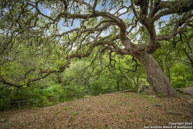 Listing photo id 29 for 18111 Lake Shore