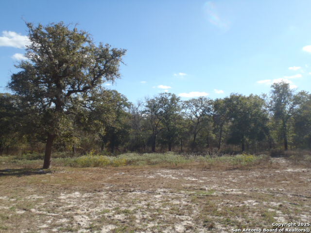 Image 11 of 33 For 2189 Hickory Forrest Dr