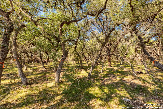 Image 10 of 10 For 130 Tremaine