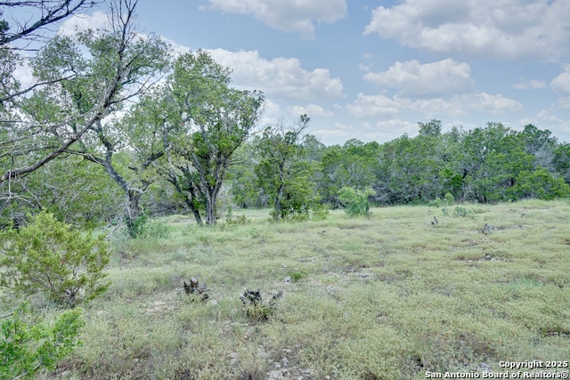 Image 2 of 4 For 447 Coyote Trail