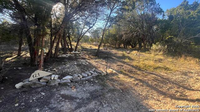 Image 2 of 8 For 0 Wyatt Earp