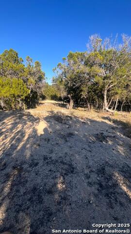 Image 3 of 8 For 0 Wyatt Earp