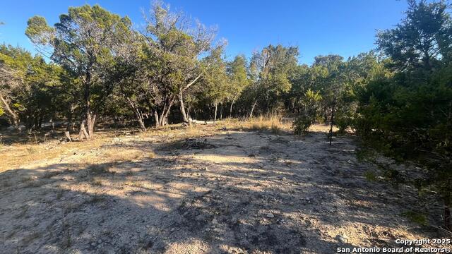 Image 4 of 8 For 0 Wyatt Earp