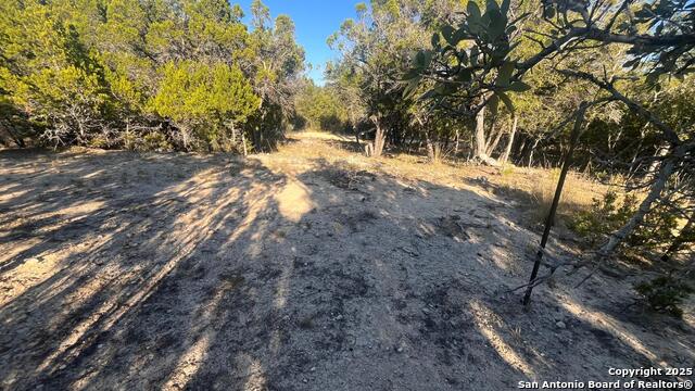 Image 5 of 8 For 0 Wyatt Earp