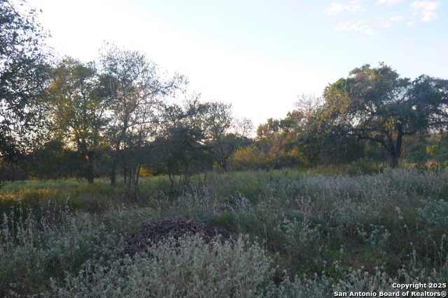 Image 3 of 9 For 00 Trumbo Rd Trumbo