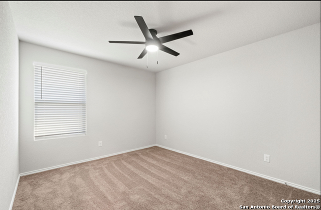 Image 12 of 15 For 8523 Western Tanager W