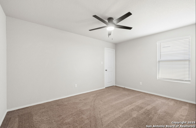 Image 13 of 15 For 8523 Western Tanager W