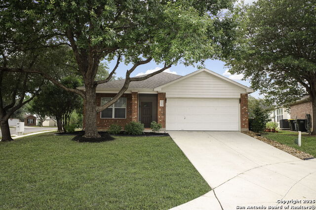 Details for 5708 Crooked Stick, Schertz, TX 78108